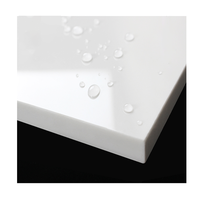Zhan Chen – revêtement primaire UV inodore, peinture UV haute Performance pour ligne de revêtement de meubles en bois
