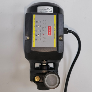 Solar Vortex <strong>Pumps</strong> with Internal <strong>Controller</strong> SQB2.0/25-D24/250 24VDC 250W for Home <strong>Water</strong> and Agricultural Irrigation