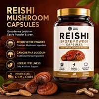 Capsules de champignons Reishi |   Extrait de poudre de spores de Ganoderma Lucidum, complément alimentaire |   Complément alimentaire à base de plantes naturelles |   Marque privée OEM