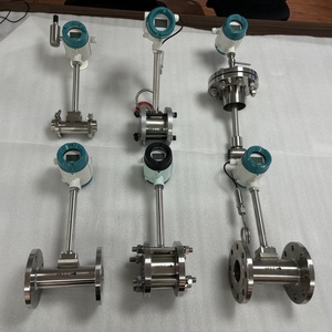 Presiccionデジタル蒸気タイプガス渦流量計センサーLPG窒素ガスレギュレーター付き流量計 - Product Image 5