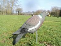 Épouvantail à oiseaux volant de haute qualité avec un déguisement de pigeon de chasse en plastique étendu pour effrayer les oiseaux