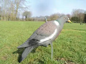 High Quality Flying Bird Scarer With Outstreched Wings Plastic Hunting Pigeon Decoy To Scare Bird