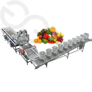 Industrial Vegetable Mushroom Ginger Onion Cleaning Processing Dates Pepper Potato Washer Fruit Washing Drying Machine