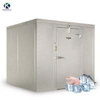 Chambre froide de congélation cryogénique à -25 degrés, chambre froide de réfrigération, entrepôt frigorifique, congélateur, chambre froide, conteneur frigorifique facile à utiliser
