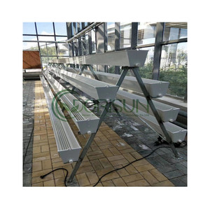 Plante de fraise européenne, tour de jardinage verticale, Pots, Cube d'eau, prise de jardin, système européen avec poteau - Product Image 4