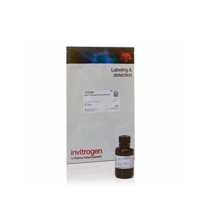 Thermo Fisher Scientific Qubit 1X DsDNA Assay Standards 2 X 5 Ml For Research Use Only - Product Image 5