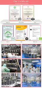 Venda quente Vegetais Naturais Extrair Pó De Suco De Aipo Orgânico Suplementos De Fibra Dietética Aipo Em Pó Para Gerenciamento De Peso - Product Image 6