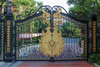 Porte d'entrée en fer forgé, design artistique personnalisé