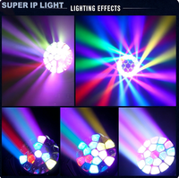 Projecteur LED professionnel 19-30W RGBW Zoom Bee Eye à tête mobile DMX pour DJ, discothèque, mariage, concert, éclairage d'événements