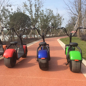 E-Scooter EH01 Mit Zulassung E-Bike Elektro Scooter City Roller 60V 12AH/20AH 1000W/2000W Citycoco - Product Image 1