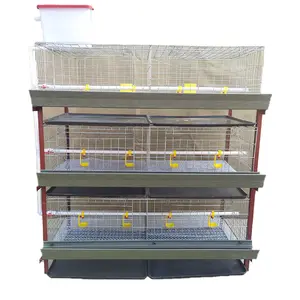 Cage à poulet pour pondeuses élevage de volailles 160 oiseaux/batterie de cage à poules pondeuses