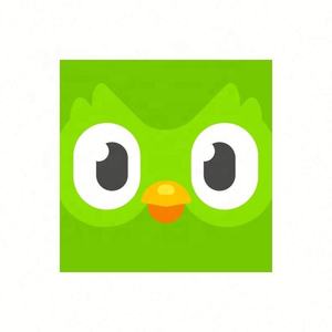 Cuenta Premium Duolingo Pro 1 Año, Activa Tu Propia Cuenta, Aplicable Globalmente en Todo el Mundo - Product Image 3