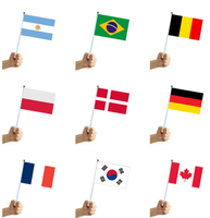 50 pays tenus dans la main petits drapeaux nationaux bannières drapeau de bâton du monde international