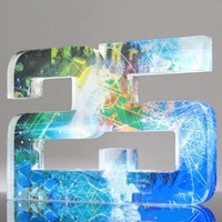 Trophée de bloc acrylique personnalisé avec goutte d'huile en résine solide transparente Presse-papiers de récompense pour souvenir