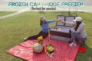 Portable Cooler Car Freezer Frozen75L 12v Fridge With Smart Phone Control