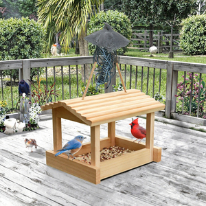Ahuyentador de Aves Ecológico para Exteriores, con Púas, para Control de Aves como las Pinzones, Precio Económico - Product Image 3