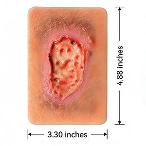 Modelo de Enseñanza de Heridas Necróticas DARHMMY - Simulación Realista de Necrosis Cutánea para Entrenamiento Quirúrgico y de Enfermería, Tipo Ciencias Médicas - Product Image 3