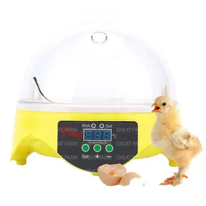 Small chicken equipment as gift to chick 7 pieces mini eggs incubator