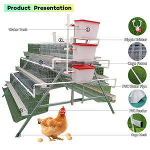 Sistema de Bebida para Aves, <span class=keywords><strong>Jaula</strong></span> de Alimentación para Aves de Corral, Batería Automática, 96/120/128/160 - Product Image 2