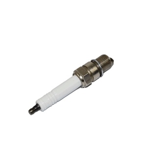 Bougies d'allumage double iridium résistantes à la corrosion Champion FB77WPCC pour moteur à gaz naturel et cuisinière à gaz - Product Image 1