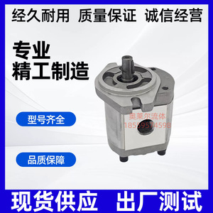 P204 High Pressure Gear <b>Pump</b> 350 <b>Bar</b> 1 Stage Hydraulic Oil <b>Pump</b> For Industrial Use - Product Image 4
