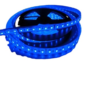 Impermeable 5050 RGB 12V 24V IP68 a prueba de agua tira de luz led para piscina - Product Image 4