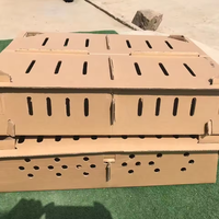 Design personnalisé Plus Carton 100pcs Boîte à oiseaux poussins vivants Boîte d'expédition Pigeon oiseaux vivants