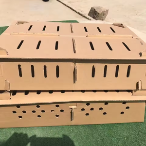 Özel tasarım artı karton 100 adet canlı civciv kuş kutusu güvercin canlı kuş nakliye kutusu - Product Image 6