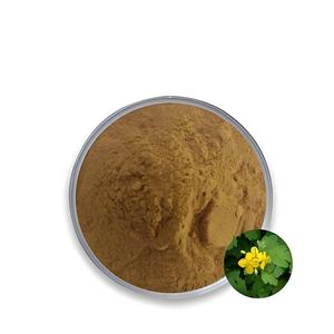 Экстракт чистотела, экстракт чистотела, экстракт герба хелидони, экстракт ласточки, премиум травяной источник - Product Image 3