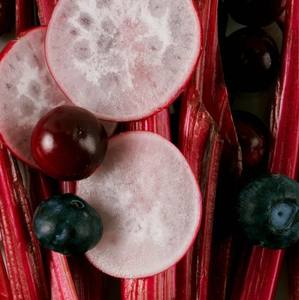 PERFUME 30ML CAMPUS PICNIC Korean Herbal Perfume Long Lasting Scent Premium Tea Inspired Fragrance <b>Travel</b> <b>Size</b> Portable - Product Image 3