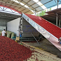 Industriële Iraqi Jujube Dadelpalm Uitdroging Droger Rode Dadels Mesh Riem Droger Fruit Gedroogde Productieverwerking