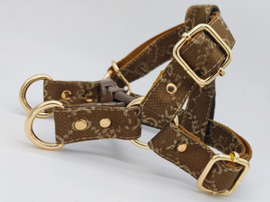 犬の首輪防水犬の首輪デザイナーペット犬のハーネス鎖と首輪 - Product Image 4