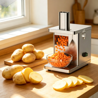 Coupe-légumes et trancheuse à moteur en acier inoxydable pour usage commercial, usine de transformation alimentaire, traitement des pommes de terre 220V/110V 250W 9KG