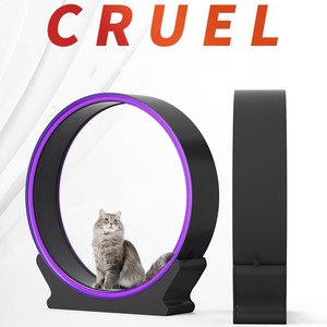 Kingtale Custom Smart LED <strong>Cat</strong> <strong>Exercise</strong> <strong>Wheel</strong> Large <strong>Cat</strong> <strong>Wheel</strong> Exerciser for Indoor with Non Slip Runway Lock Pin - Product Image 2