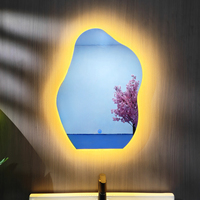 Miroir de salle de bain LED de forme irrégulière avec rétroéclairage et commande tactile pour hôtel, salle de maquillage, vente en gros