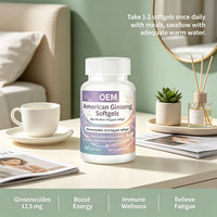 Gélules de Ginseng Américain, 12,5 mg de Ginsénosides, Soutient la Santé du Système Immunitaire, 60 Gélules, OEM/ODM