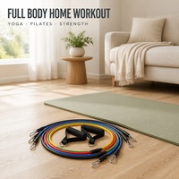 Ensemble de bandes de résistance avec poignées, sangles de cheville et ancre de porte, 11 pièces, pour yoga, pilates, gym, entraînement à domicile, fitness et musculation
