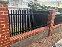 Fabriek Prijs Custom Robuust Ijzer 8 Ft Zink Gecoat Staal Zink Stalen Hekwerk Panelen En Poorten Voor Huizen Tuin Decoratieve
