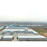 Chambre froide industrielle et commerciale pour entrepôt logistique, à économie d'énergie, avec contrôle de température basse et installation professionnelle