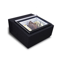 Vente flash : Vitrine à gelato/boîte de présentation pour crème glacée, mini, 110/220V