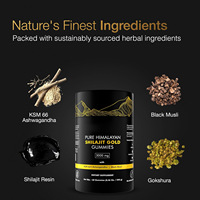 Gummies de Shilajit Naturel de l'Himalaya YTBIO, Acide Fulvique 60%, Minéraux Essentiels, Soutien aux Marques Privées