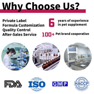 Probiótico natural para masticar comida para mascotas Oem/Odm, 270g, 300g, 360g, Suplemento probiótico para perros - Product Image 4
