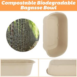 Venta al por mayor de fábrica: Contenedor de comida desechable biodegradable y compostable de bagazo de caña de azúcar con tapa para agentes de compras - Product Image 5