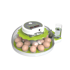 TUOYUN Precio <span class=keywords><strong>Sorpresa</strong></span> 8 1 Año Incubadoras para <span class=keywords><strong>Huevos</strong></span> Incubar Mini Incubadora de <span class=keywords><strong>Huevos</strong></span> Totalmente Automática - Product Image 2