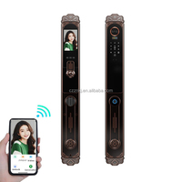 Serrure intelligente 3D de luxe avec reconnaissance de la veine palmaire et empreinte digitale, application Tuya, Wi-Fi, pour villa, en cuivre, pour porte en bois