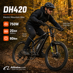Bicicleta Eléctrica de Montaña DH420 E-MTB DH420 750W 20AH, Alcance de 80KM, 50km/h, Alto Rendimiento - Product Image 1