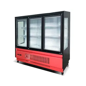 Refrigerador comercial con imán para frutas, refrigerador de puerta de vidrio usado para supermercado