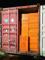 Nouvelles caisses à poulets de type H en PP orange de grande taille 96x56x27cm, cage de transport pour volailles vivantes avec couvercle, longue durée de vie