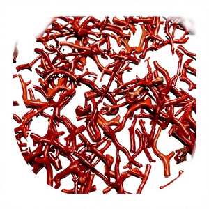 Vente en gros FAIJAN GEMS Gravier de pierre naturelle de corail rouge poli certifié, taille personnalisable, pierre de guérison pour la fabrication de bijoux - Product Image 1