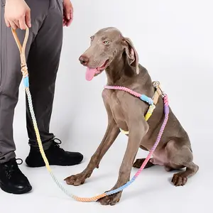 大型狗的MOFESIPI线束项圈皮带套装无拉宠物可调后夹吊带防扭皮带，用于小狗训练
